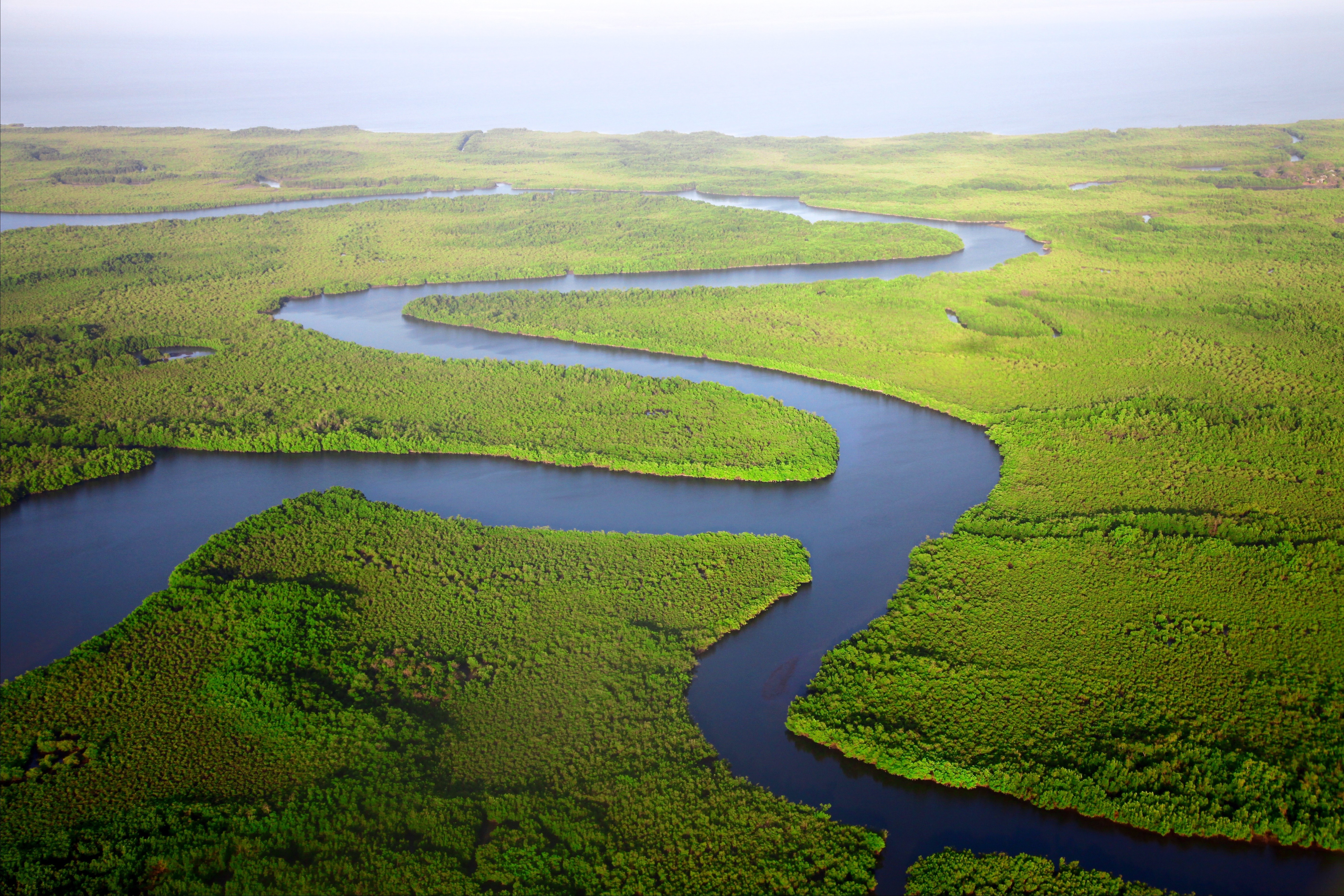 River meandering and splitting